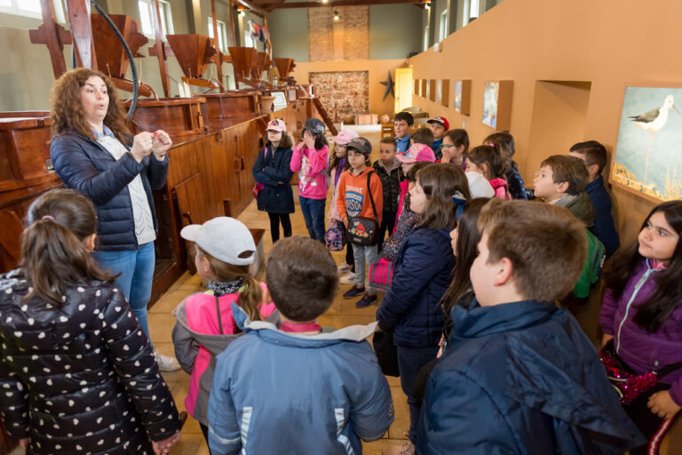 Atividades Pedagógicas no Moinho de Maré da Mourisca