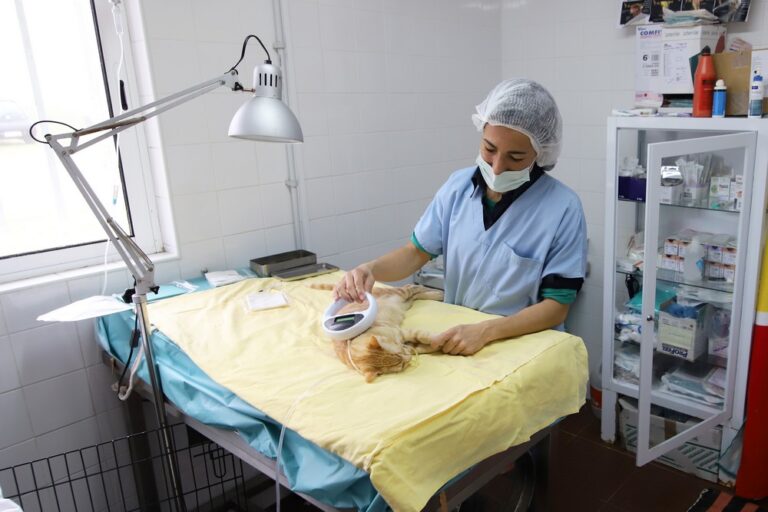 Obras no Croac - fevereiro