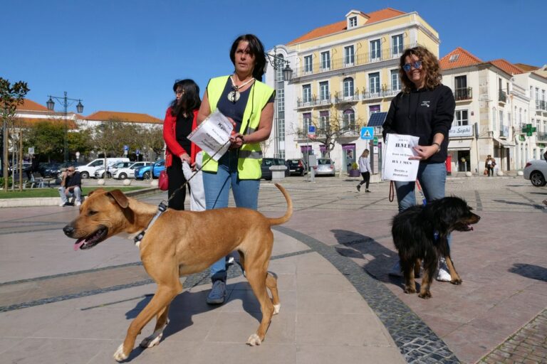 Cãominhada - passeio de 7 de março