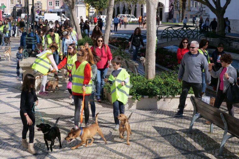 Cãominhada - passeio de 7 de março