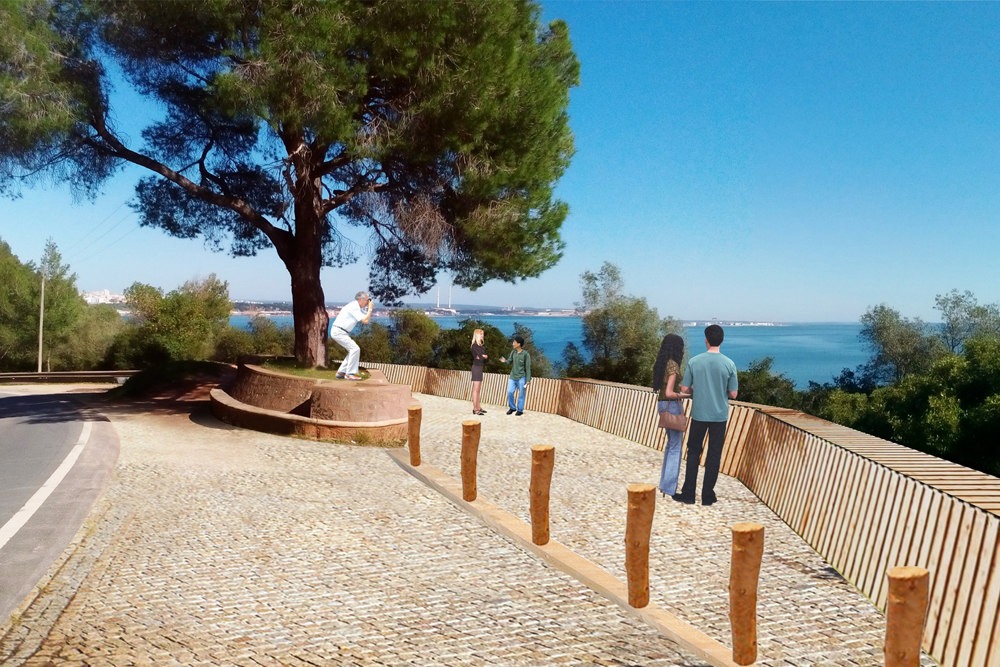 Pau da Consolação - montagem virtual