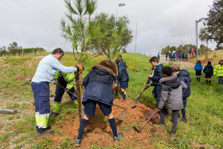 Seja Jardineiro Por Um Dia - Parque Sant'Iago