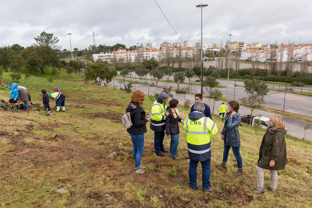 Seja Jardineiro Por Um Dia - Parque Sant'Iago