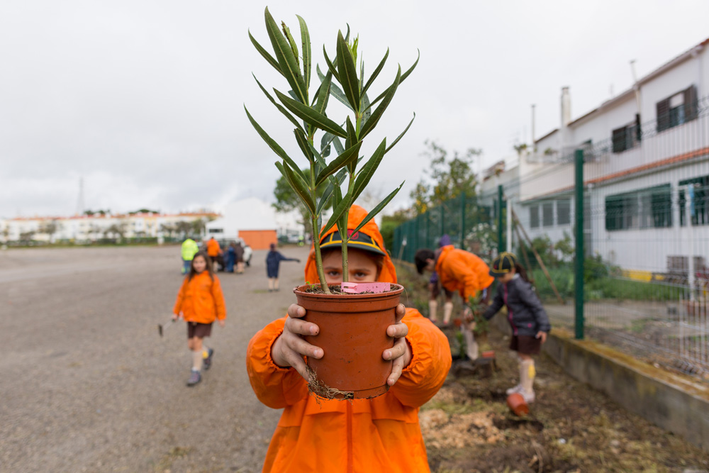 Seja Jardineiro Por Um Dia - Parque Sant'Iago