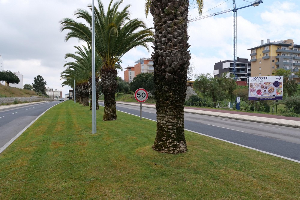 Coronavírus Covid-19 | desmatação e limpeza de taludes