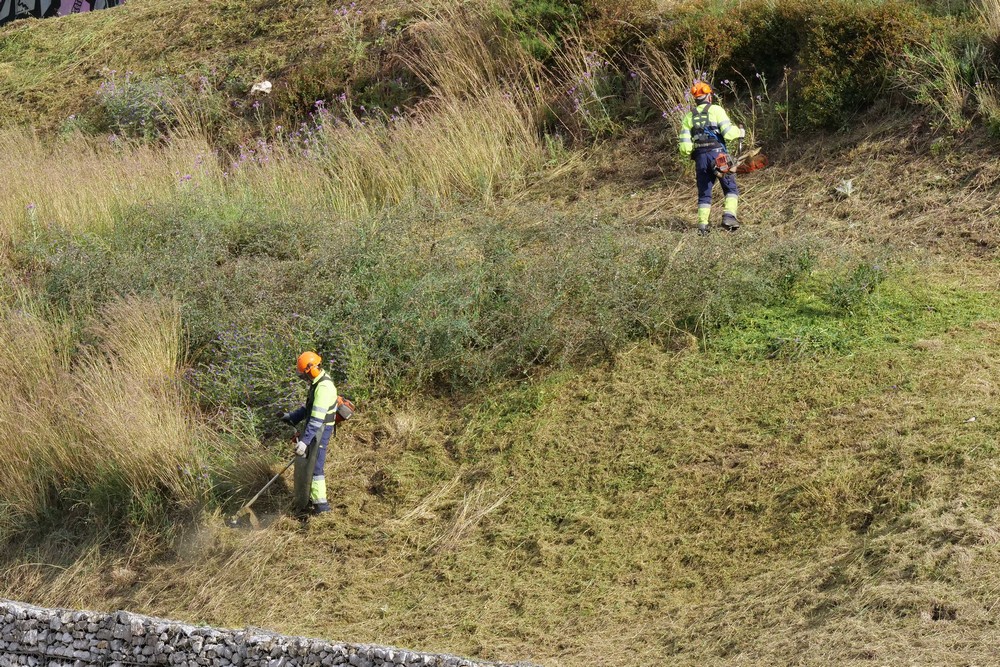 Coronavírus Covid-19 | desmatação e limpeza de taludes