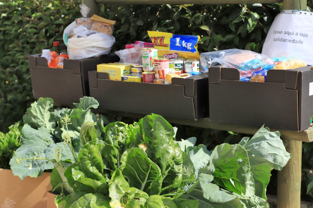 A Câmara Municipal de Setúbal, em parceria com a comunidade de hortelões do projeto Hortas Urbanas, desenvolvem uma iniciativa solidária para angariação de bens destinados a duas instituições do concelho