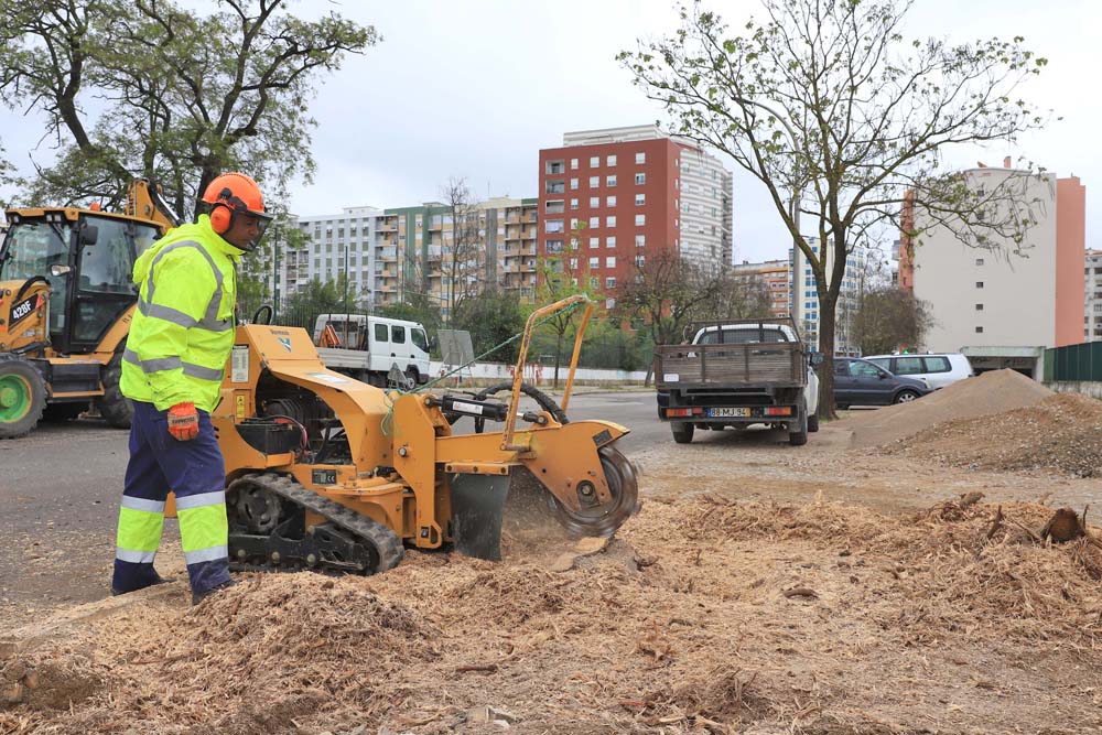 Coronavírus Covid-19 | intervenção em espaços verdes