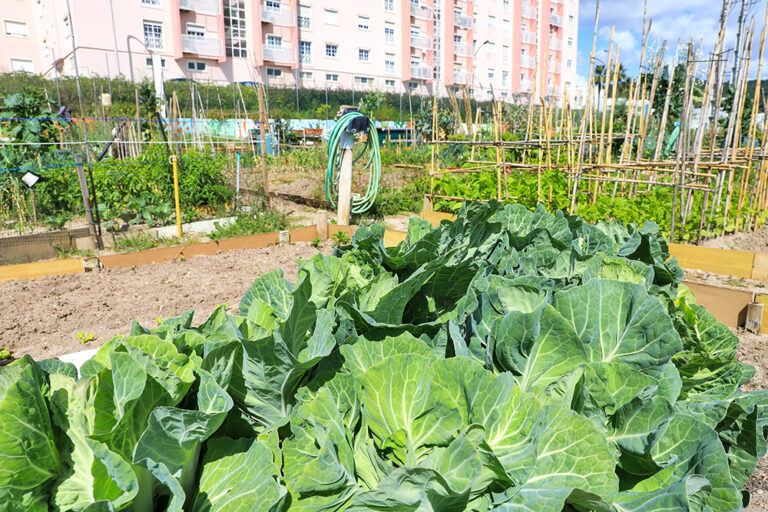 Viveiros das Amoreiras_2020