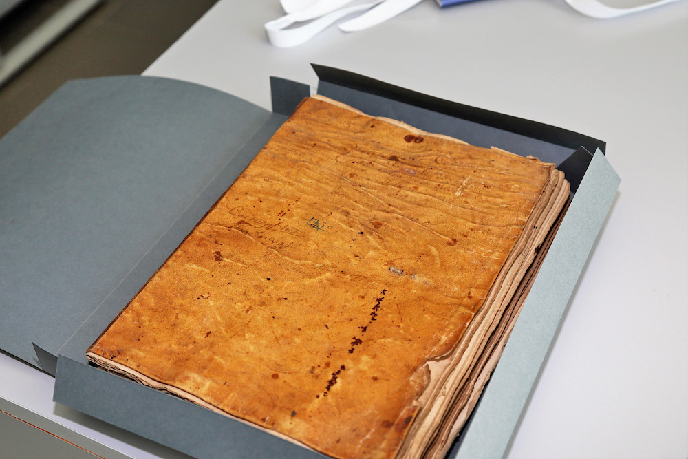 Arquivo Municipal - Entrega de Livro19