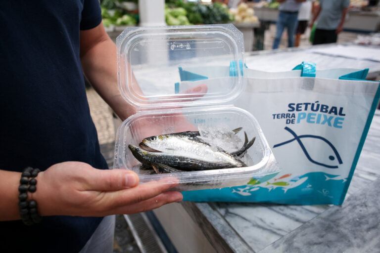 Semana da Sardinha | Setúbal Terra de Peixe