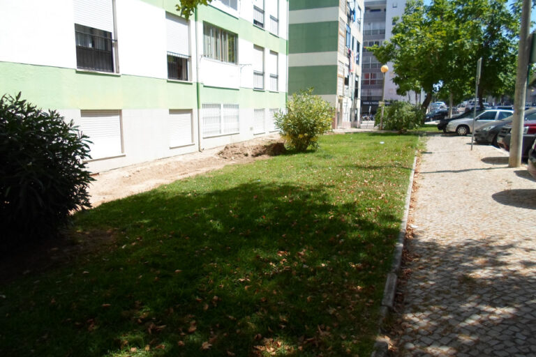 Requalificação da Rua de Goa