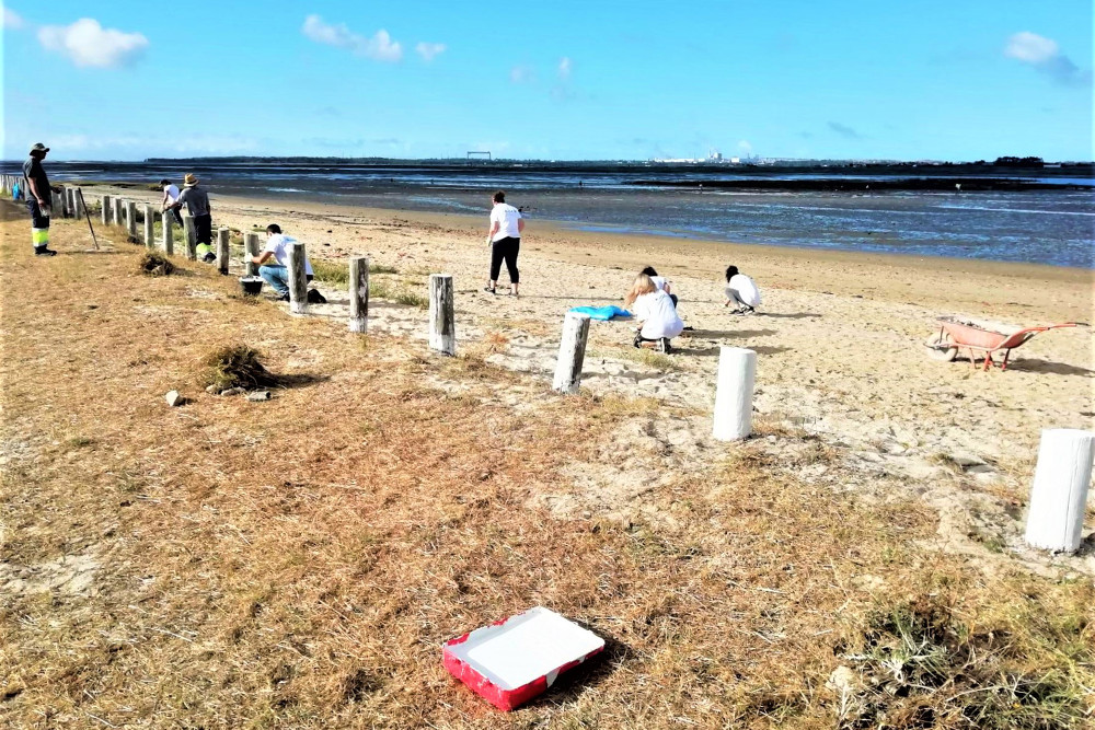 Projeto Consciente(mente) | Voluntariado Jovem | Junta de Freguesia de Gâmbia-Pontes-Alto da Guerra