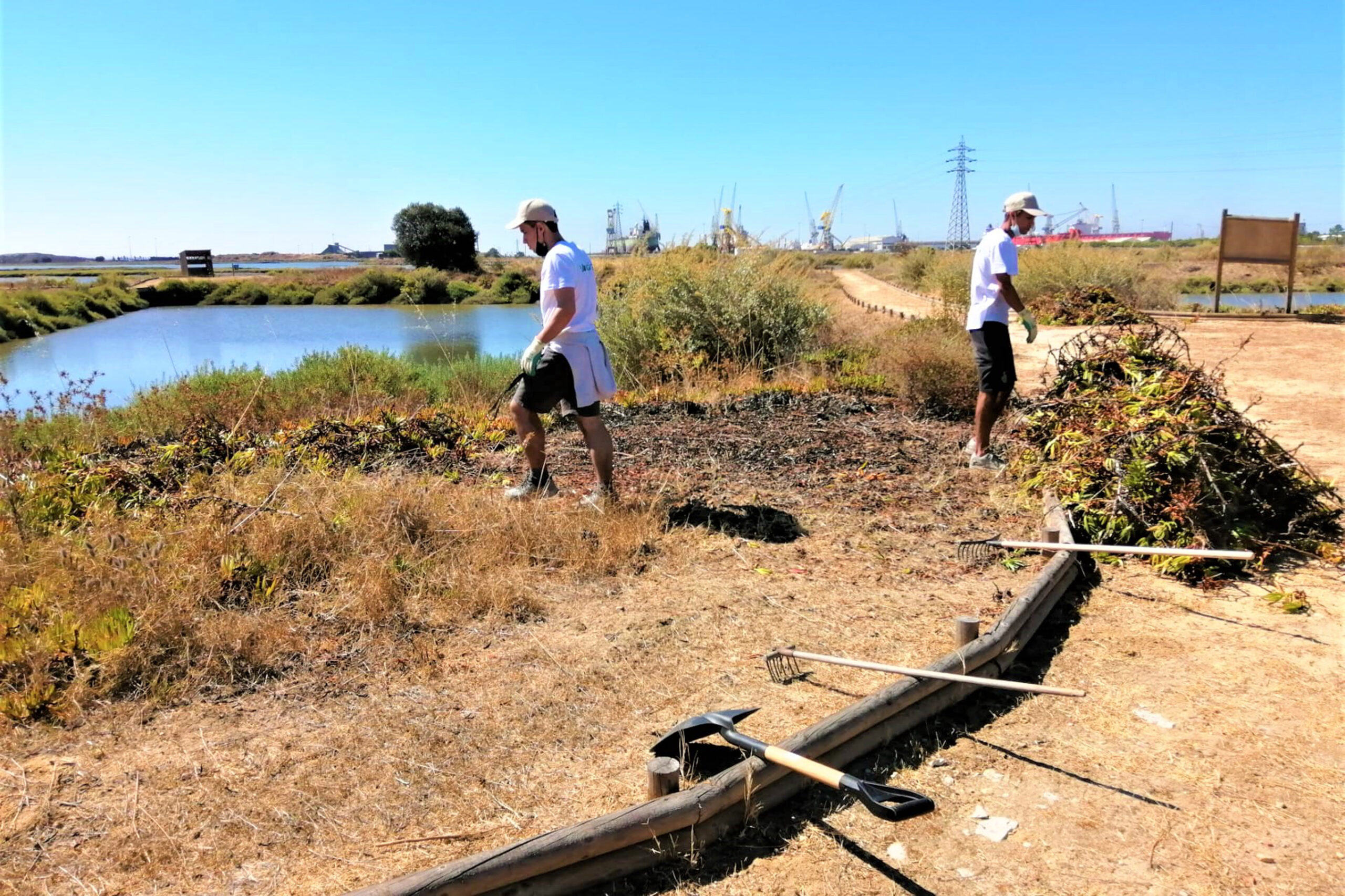 Projeto Consciente(mente) | Voluntariado Jovem | Sado