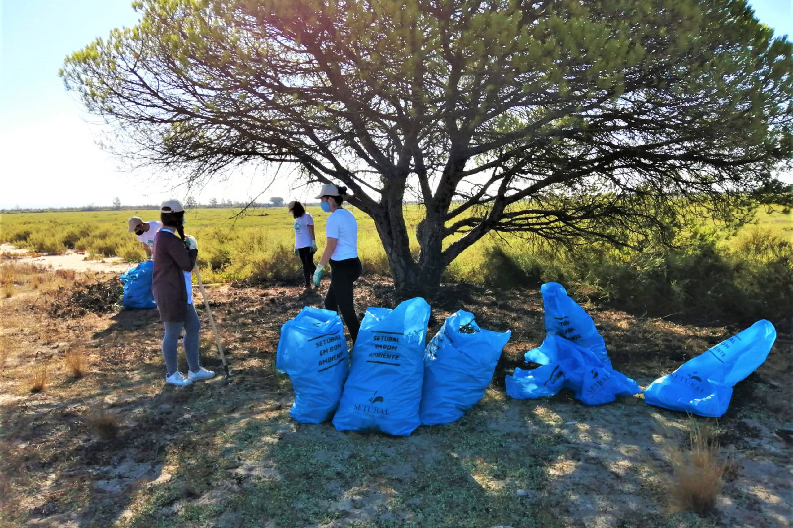 Projeto Consciente(mente) | Voluntariado Jovem | Sado