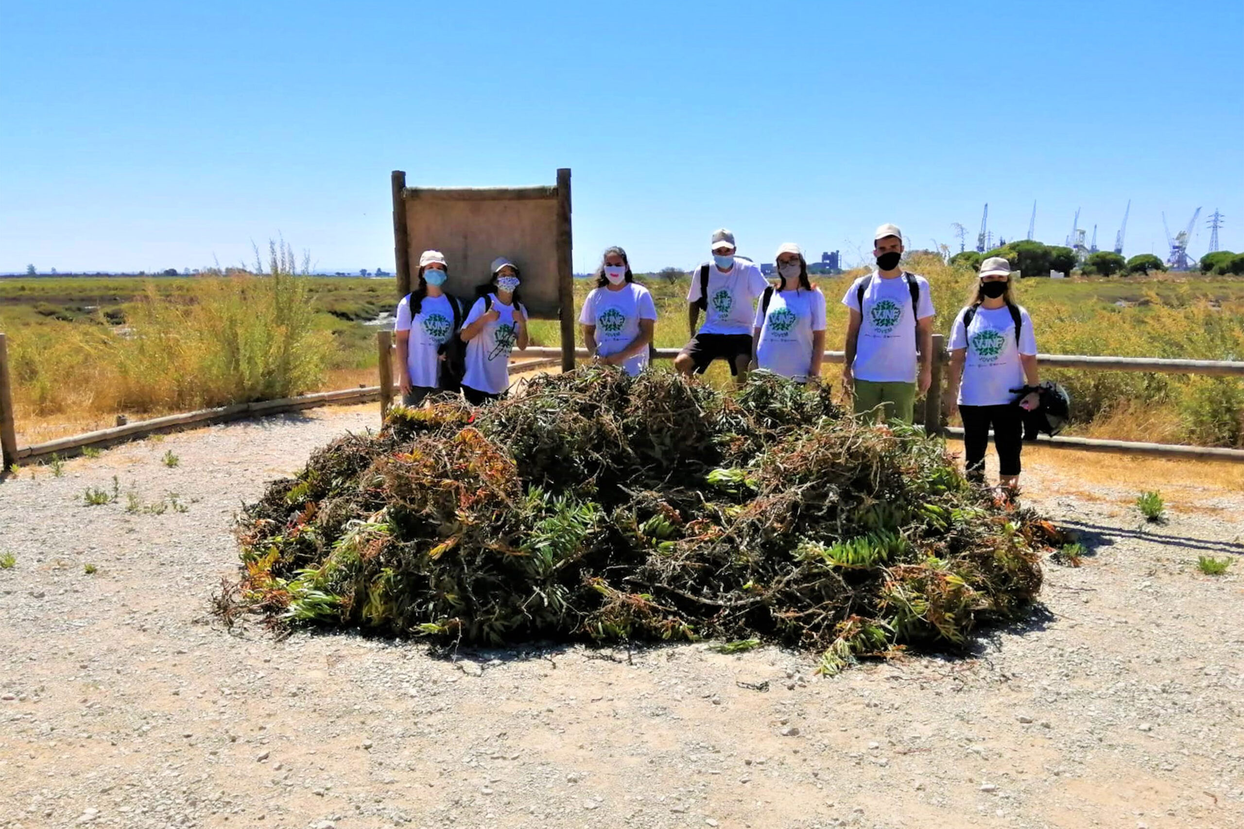 Projeto Consciente(mente) | Voluntariado Jovem | Sado