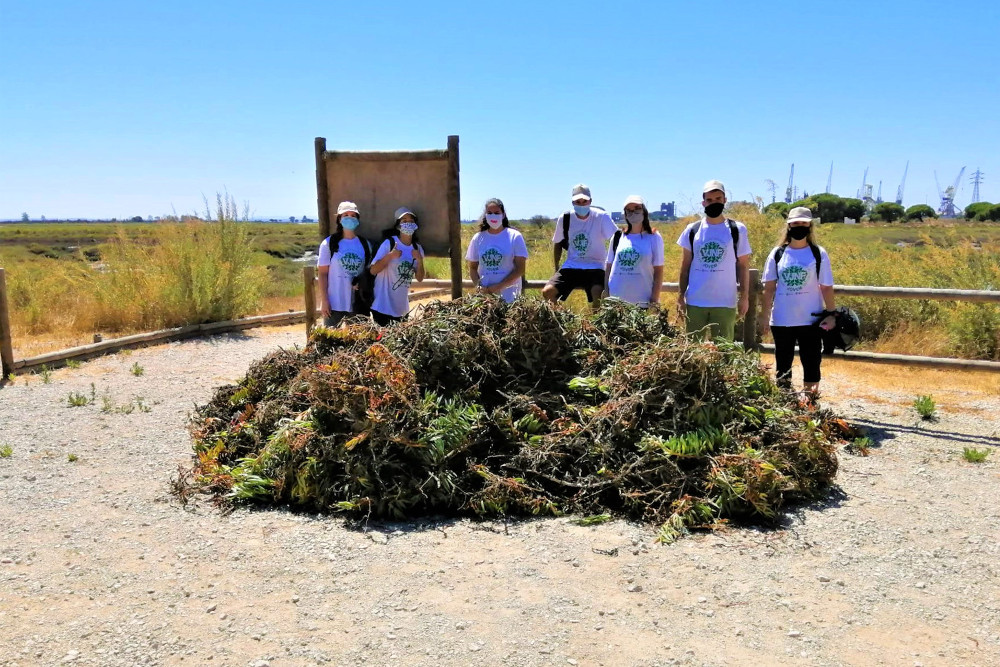 Projeto Consciente(mente) | Voluntariado Jovem | Junta de Freguesia do Sado