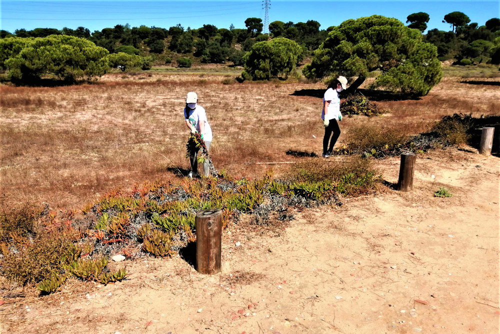 Projeto Consciente(mente) | Voluntariado Jovem | Junta de Freguesia do Sado