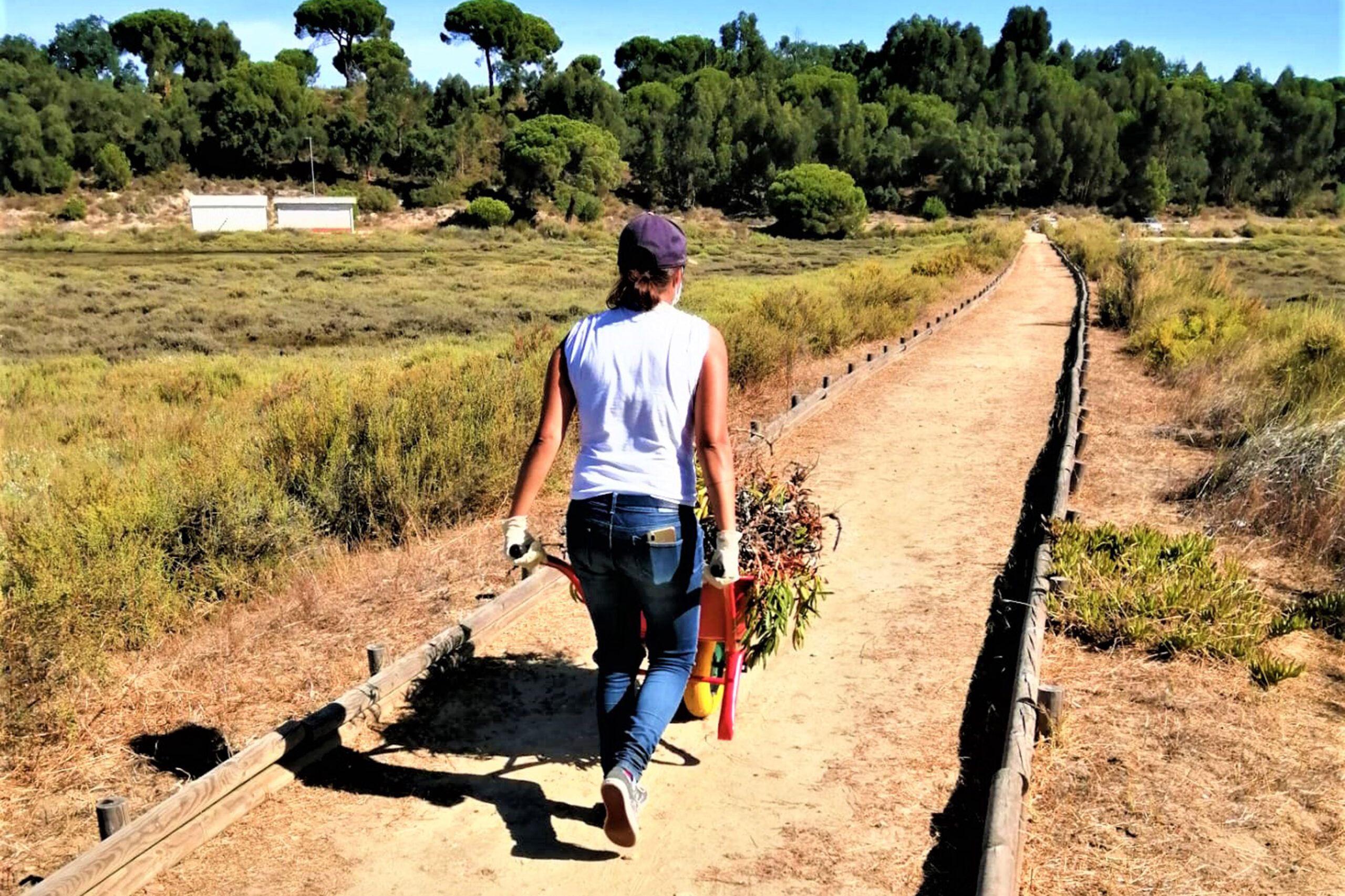 Projeto Consciente(mente) | Voluntariado Jovem | Sado