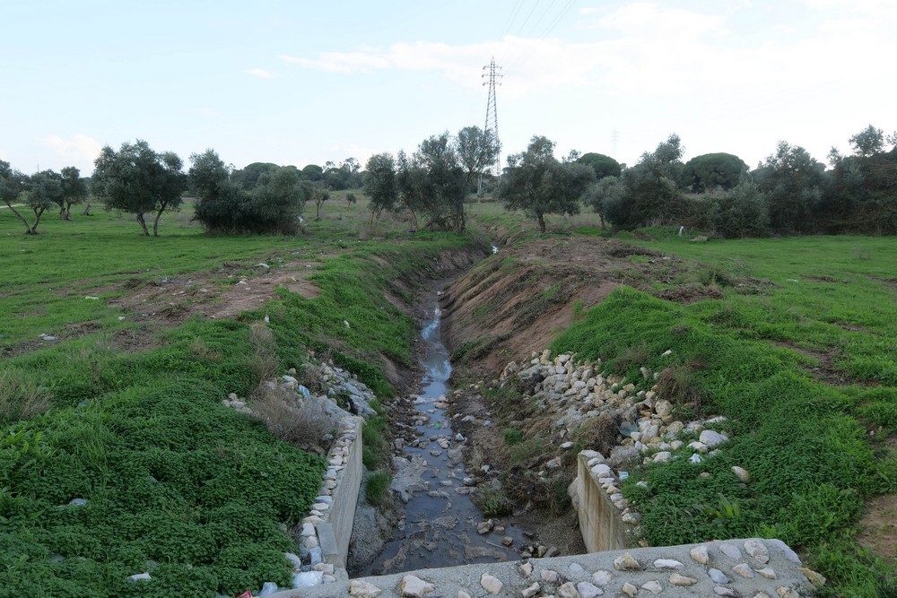 Limpeza de valas e linhas de água | 2020