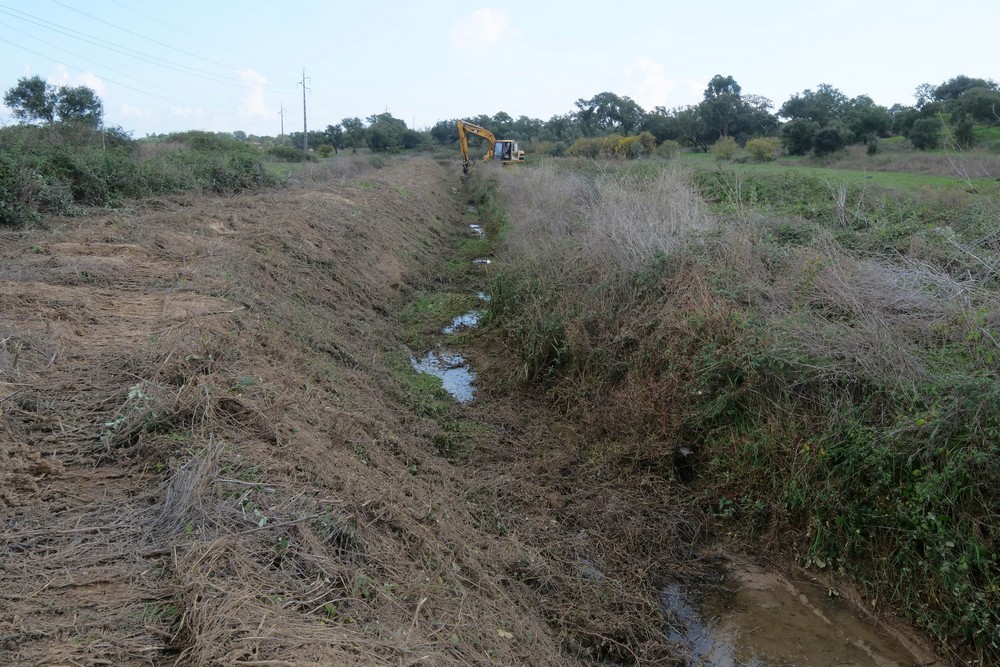 Limpeza de valas e linhas de água | 2020