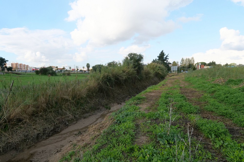 Limpeza de valas e linhas de água | 2020