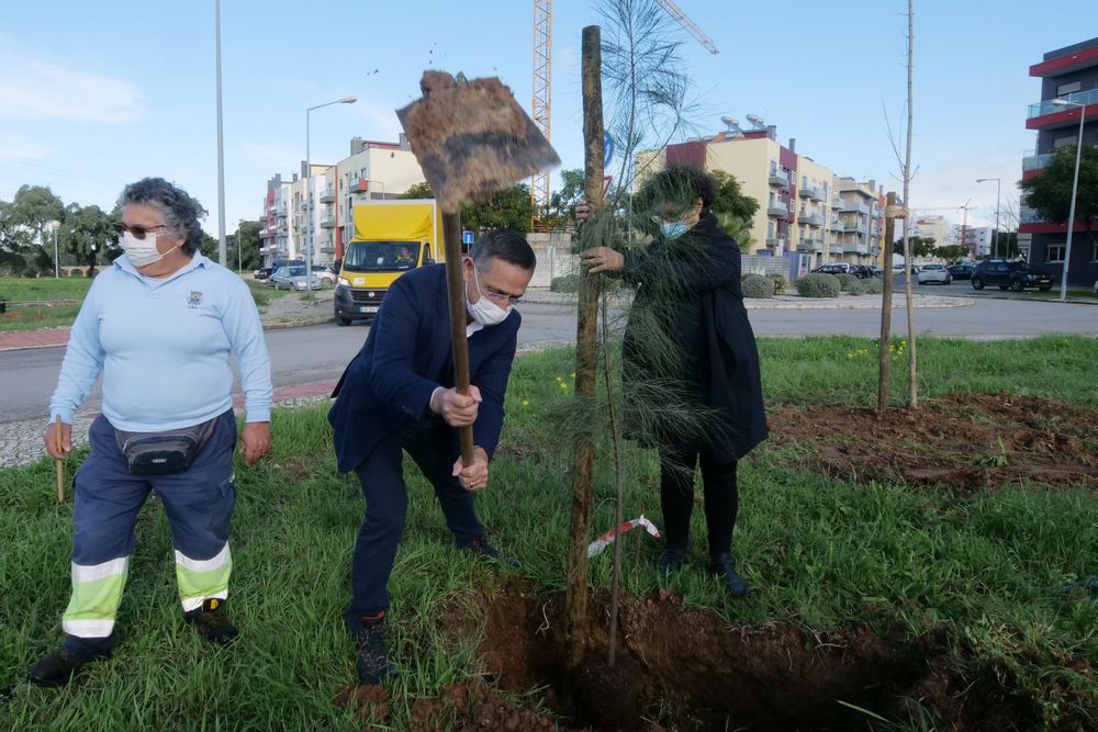 Plantação de Árvores - futuro Parque Urbano da Quinta da Amizade