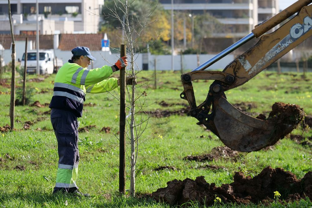 Plantação de Árvores - futuro Parque Urbano da Quinta da Amizade