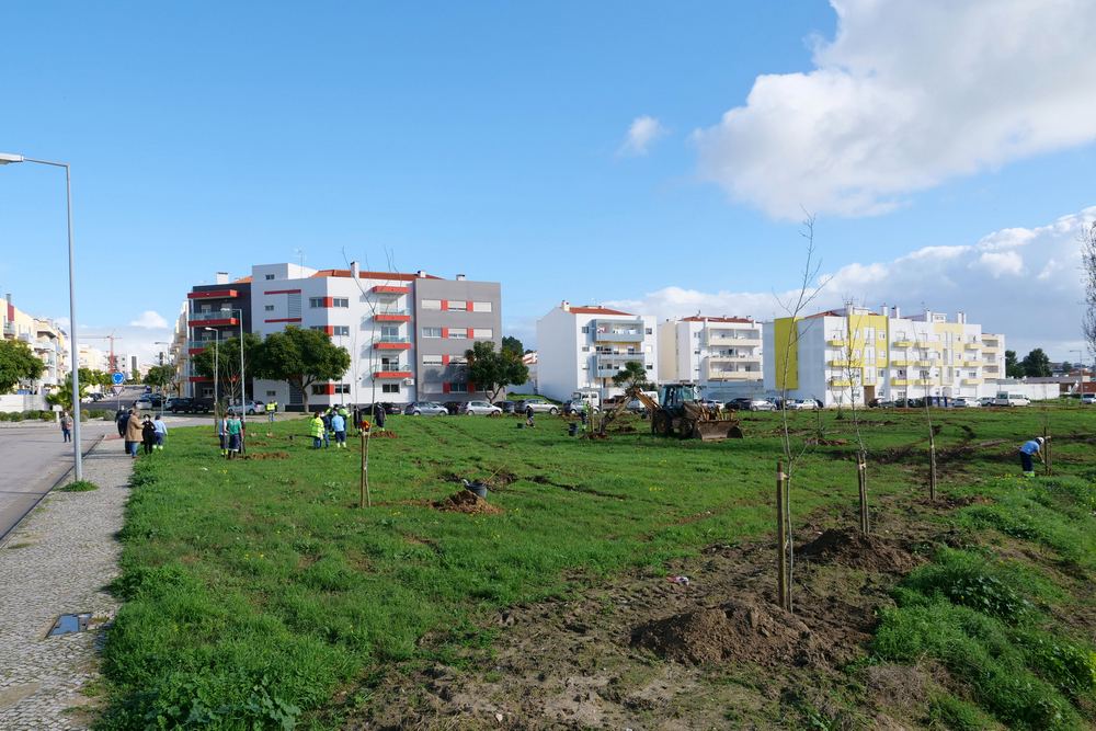 Plantação de Árvores - futuro Parque Urbano da Quinta da Amizade