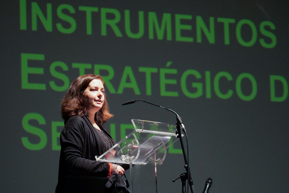 Reunião do Conselho Local de Ação Social de Setúbal - 17 dezembro 2020