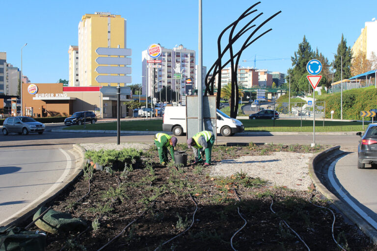 Avenida Álvaro Cunhal | requalificação da placa central Foto da JFSS