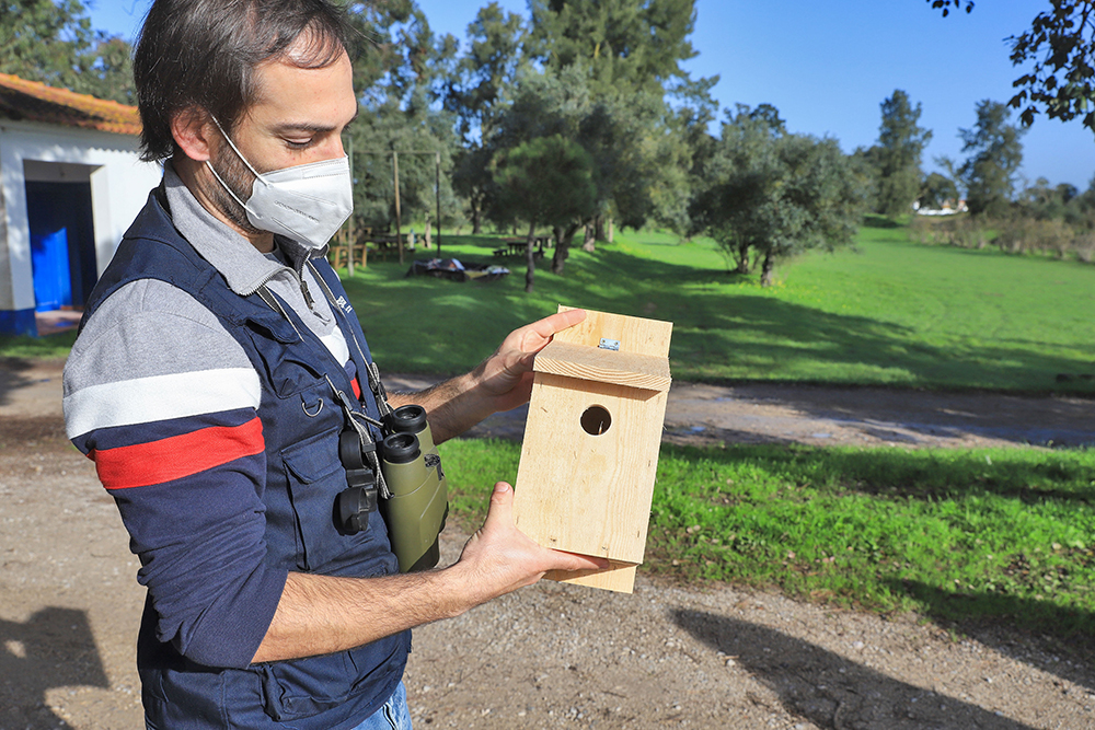 Montagem_Ninhos_Herdade_Mourisca_2021 (1)