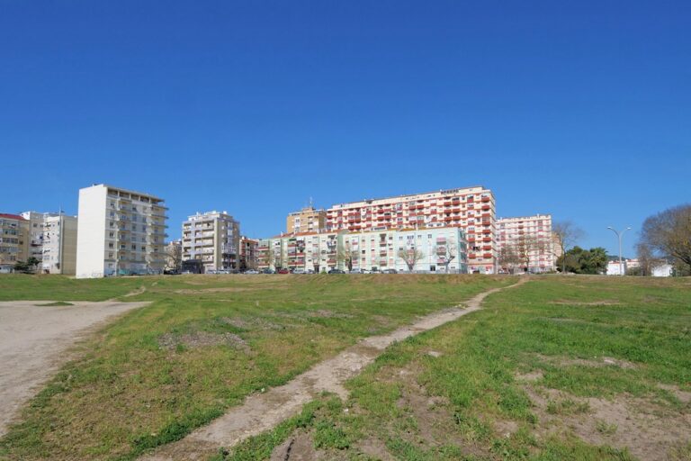 Desmatação e limpeza de terrenos florestais