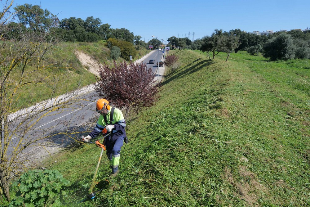 Desmatação e limpeza de terrenos florestais