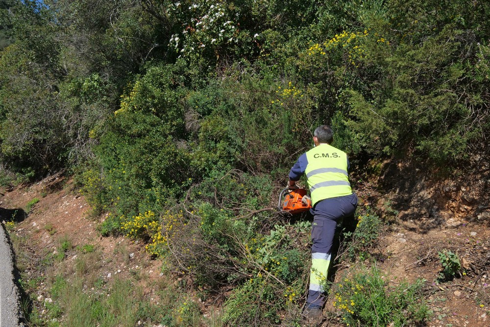 Desmatação e limpeza de terrenos florestais