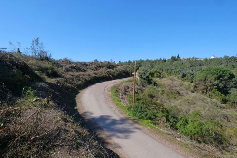 Desmatação e limpeza de terrenos florestais