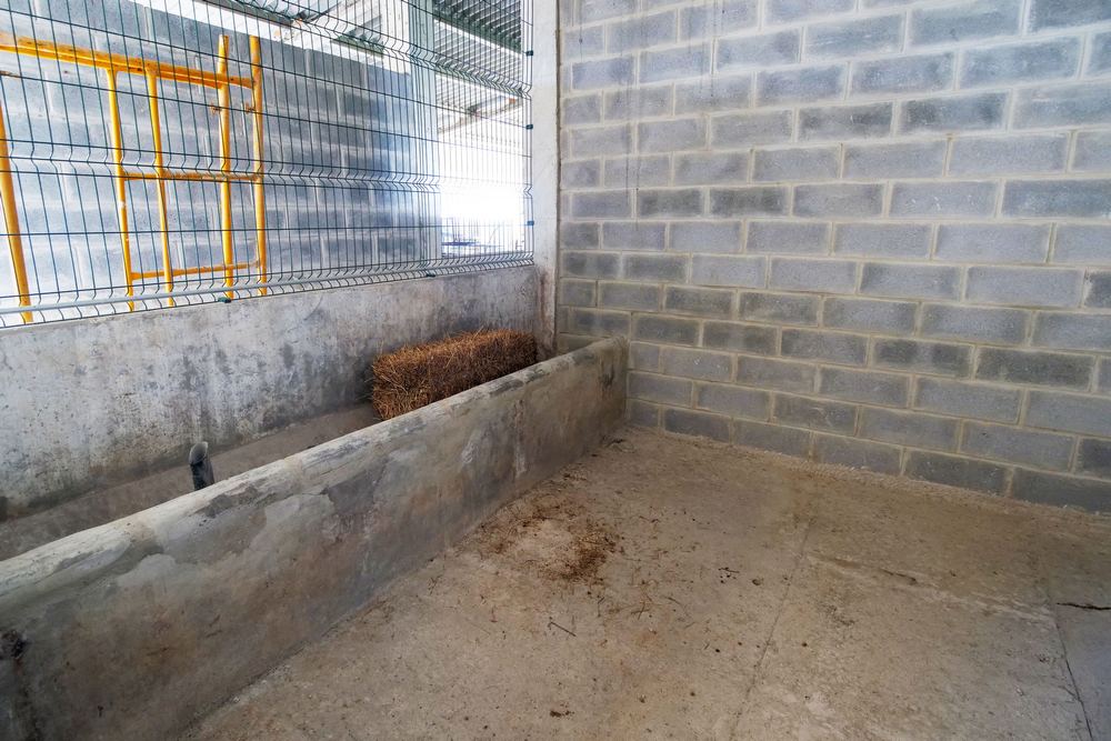 CROAC | Obras de ampliação - 2.ª fase