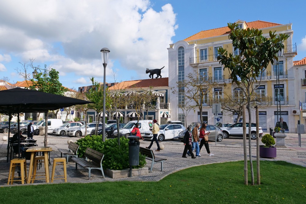 Casa do Turismo | 'O Gato e o Vento'