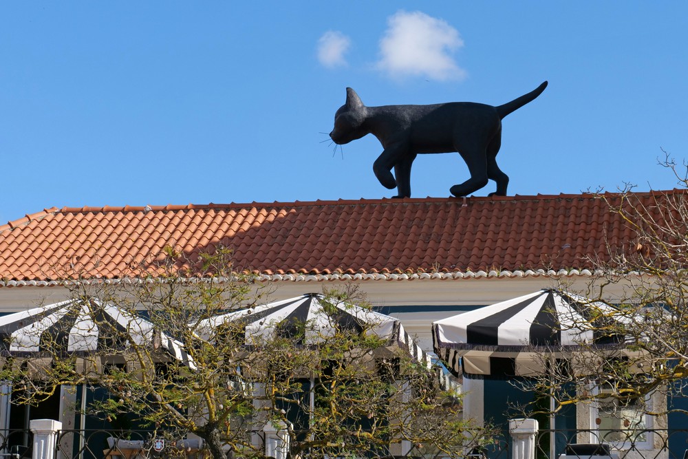 Casa do Turismo | 'O Gato e o Vento'