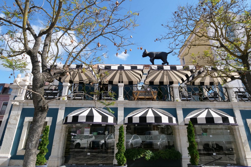 Casa do Turismo | 'O Gato e o Vento'