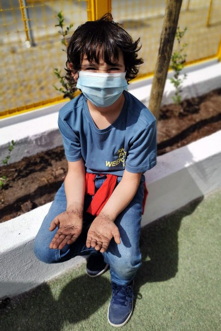 Setúbal Mais Bonita | Palmo e Meio