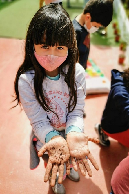 Setúbal Mais Bonita | Palmo e Meio