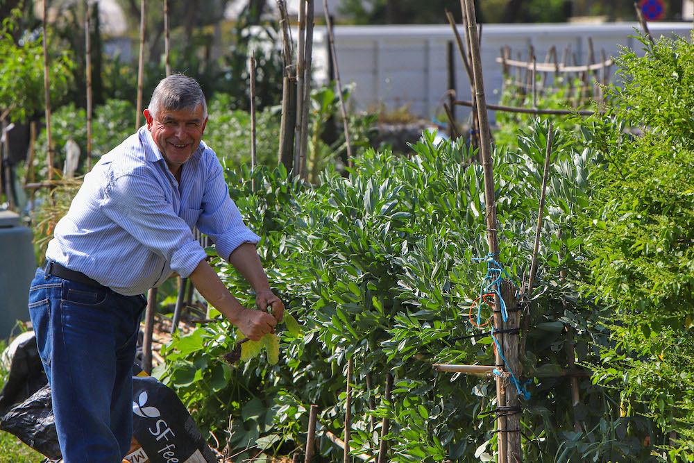 Hortas Urbanas Municipais das Amoreiras