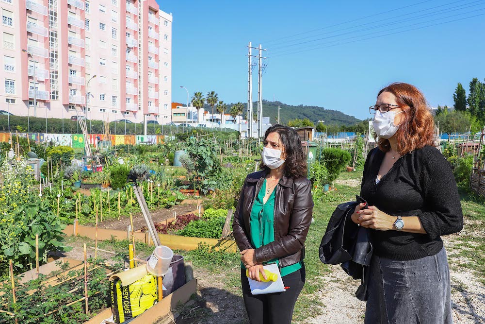 Hortas Urbanas Municipais das Amoreiras