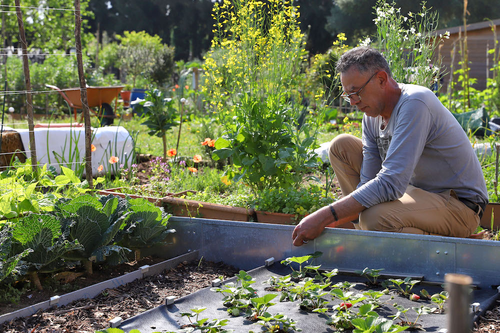 Hortas Urbanas Municipais das Amoreiras