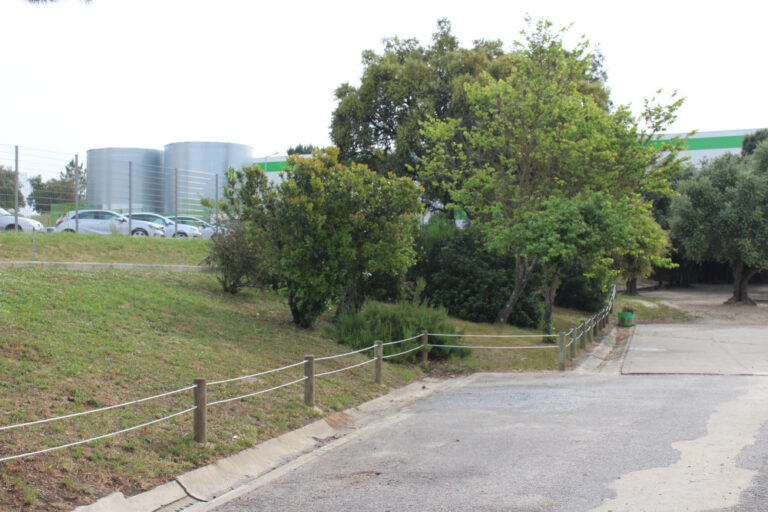 Cerca na EB da Azeda | Foto da Junta de Freguesia de São Sebastião