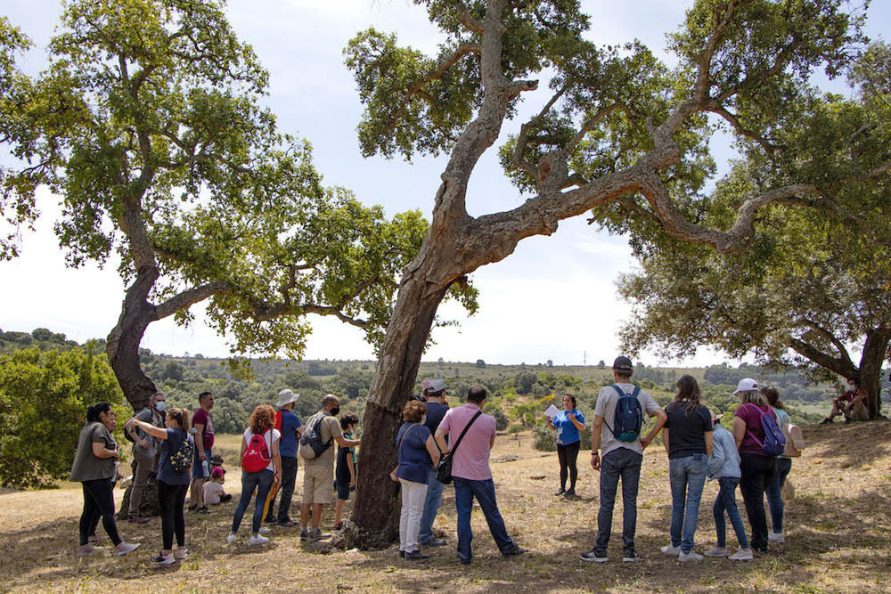 Arrábida Walking Festival 2021