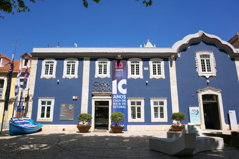 Comemorações do 10.º aniversário da Casa da Baía - Zé Zambujo