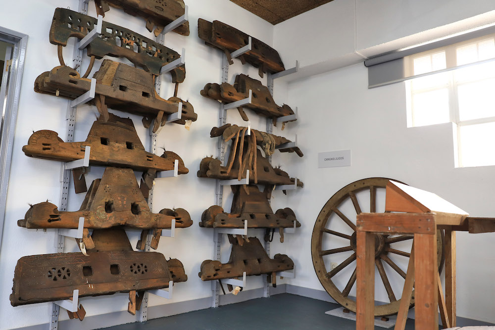 Reabertura da Reserva Técnica Michel Giacometti