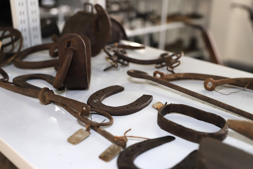 Reabertura da Reserva Técnica Michel Giacometti